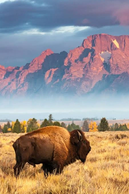 NATIONAL PARKS GETAWAY